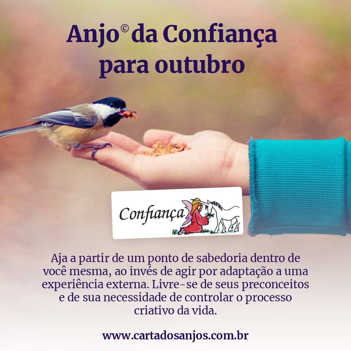 Livro das Cartas dos Anjos® - Loja Taygeta Editora e Consultoria